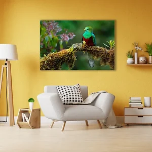 Slika za zid "Beautiful bird in nature tropic habitat"