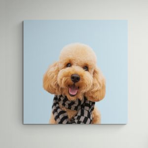 Moje slike na platnu 30x30cm