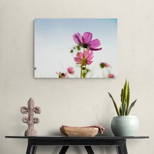 Slika za zid "Looking At The Sky"