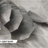 Tapeta za zid "Leaf Leaf" - Slika 5
