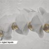 Tapeta za zid "Glazed" - Slika 5