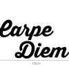 Zidna naljepnica "Carpe Diem" - Slika 4
