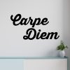 Zidna naljepnica "Carpe Diem" - Slika 2