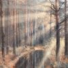 Tapeta za zid "Twilight Timber" - Slika 4